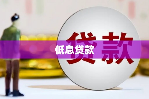 代县低息贷款