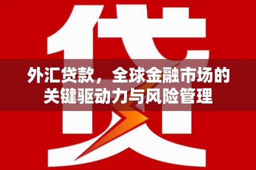 代县外汇贷款，全球金融市场的关键驱动力与风险管理