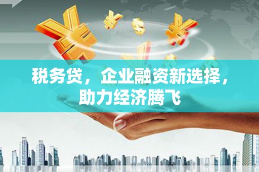 代县税务贷，企业融资新选择，助力经济腾飞
