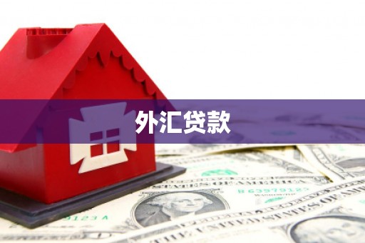 代县外汇贷款