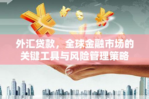 代县外汇贷款，全球金融市场的关键工具与风险管理策略