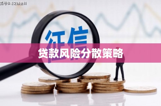 代县贷款风险分散策略