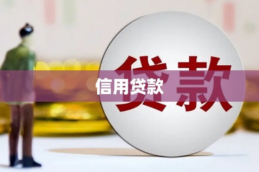 代县信用贷款