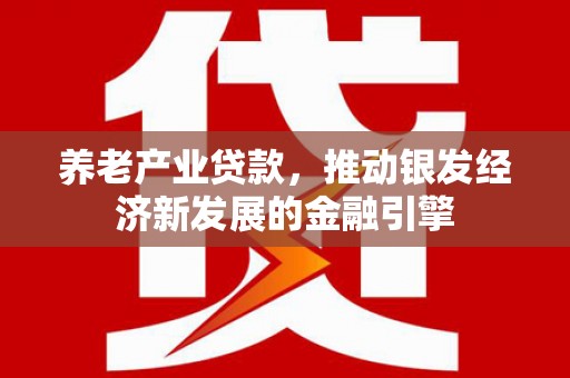 代县养老产业贷款，推动银发经济新发展的金融引擎