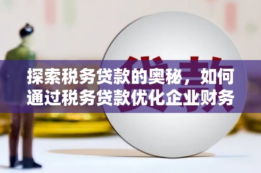代县探索税务贷款的奥秘，如何通过税务贷款优化企业财务