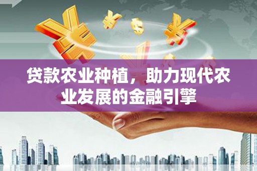 代县贷款农业种植，助力现代农业发展的金融引擎