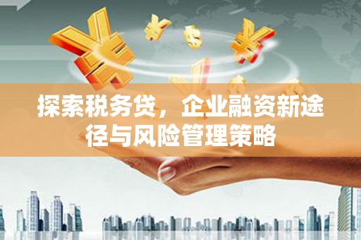代县探索税务贷，企业融资新途径与风险管理策略