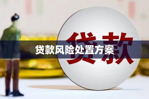 代县贷款风险处置方案