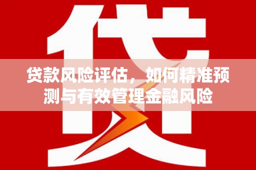 代县贷款风险评估，如何精准预测与有效管理金融风险