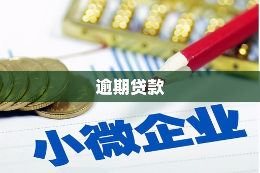 代县逾期贷款