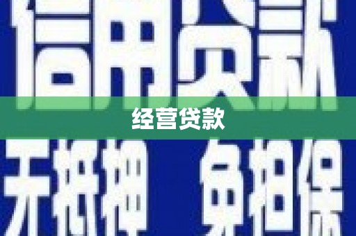 代县经营贷款