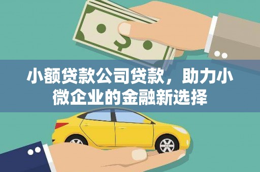 代县小额贷款公司贷款，助力小微企业的金融新选择
