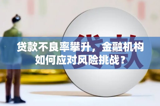 代县贷款不良率攀升，金融机构如何应对风险挑战？