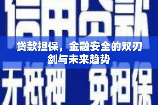 代县贷款担保，金融安全的双刃剑与未来趋势