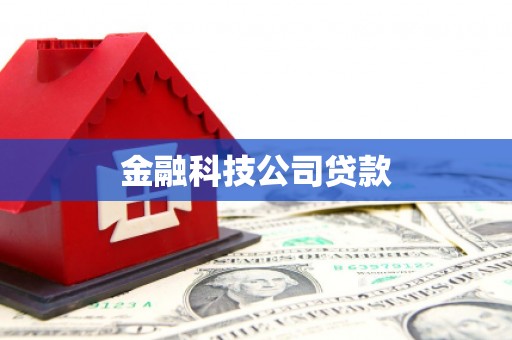 代县金融科技公司贷款