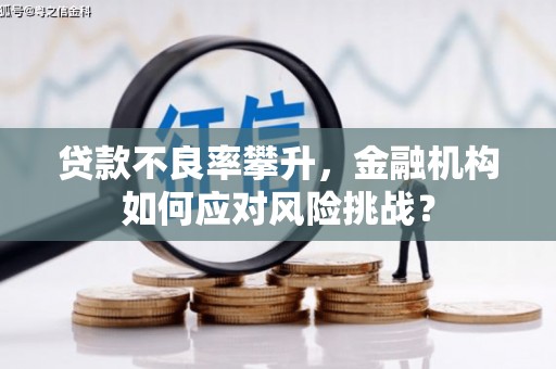 代县贷款不良率攀升，金融机构如何应对风险挑战？