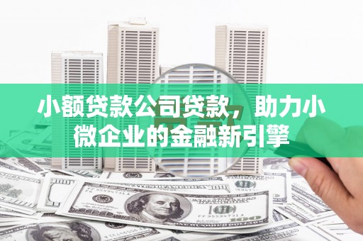 代县小额贷款公司贷款，助力小微企业的金融新引擎