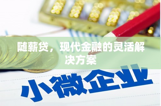 代县随薪贷，现代金融的灵活解决方案