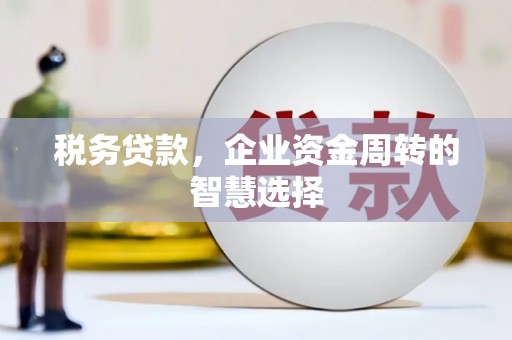 代县税务贷款，企业资金周转的智慧选择