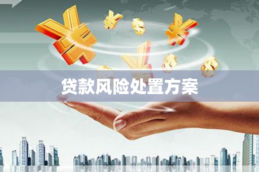 代县贷款风险处置方案