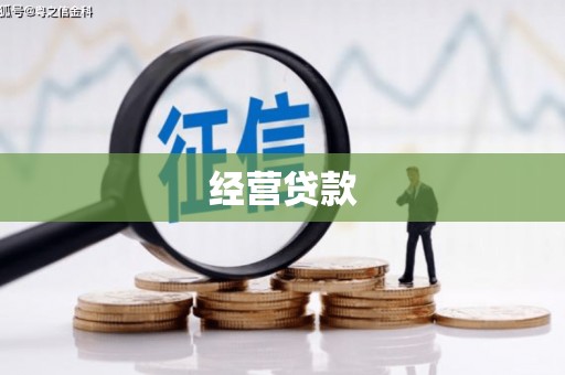 代县经营贷款
