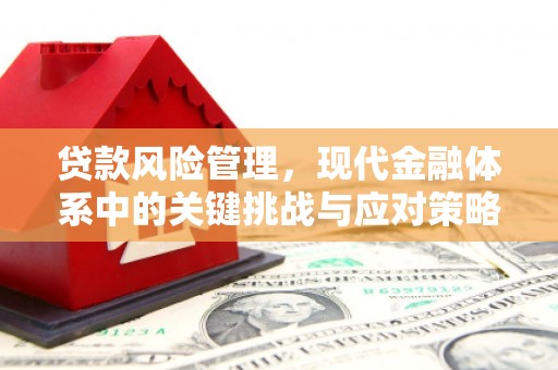 代县贷款风险管理，现代金融体系中的关键挑战与应对策略