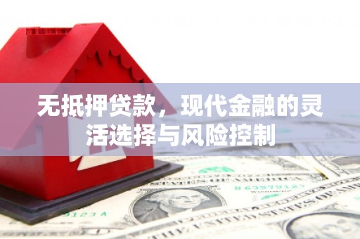 代县无抵押贷款，现代金融的灵活选择与风险控制