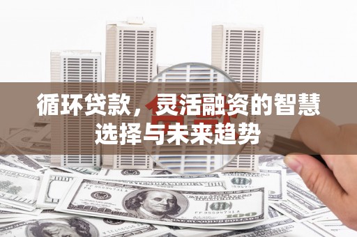 代县循环贷款，灵活融资的智慧选择与未来趋势