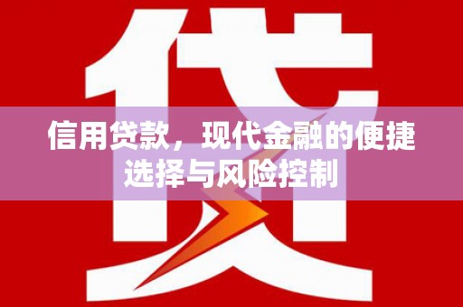 代县信用贷款，现代金融的便捷选择与风险控制
