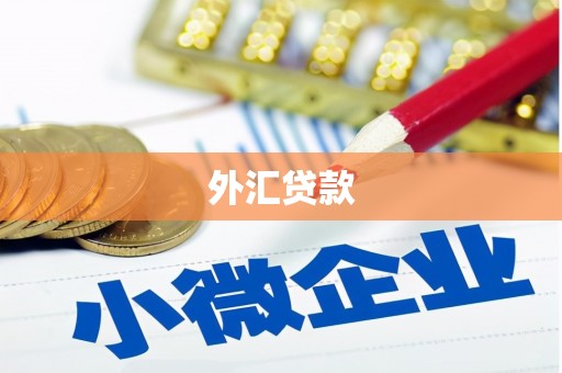 代县外汇贷款