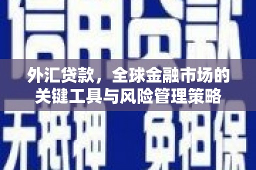 代县外汇贷款，全球金融市场的关键工具与风险管理策略
