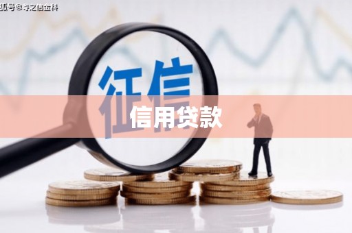 代县信用贷款