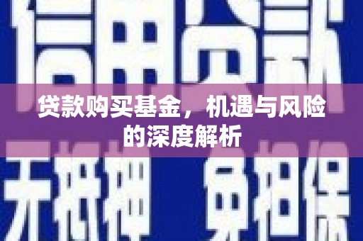 代县贷款购买基金，机遇与风险的深度解析