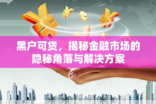 代县黑户可贷，揭秘金融市场的隐秘角落与解决方案