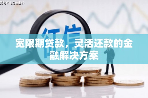 代县宽限期贷款，灵活还款的金融解决方案