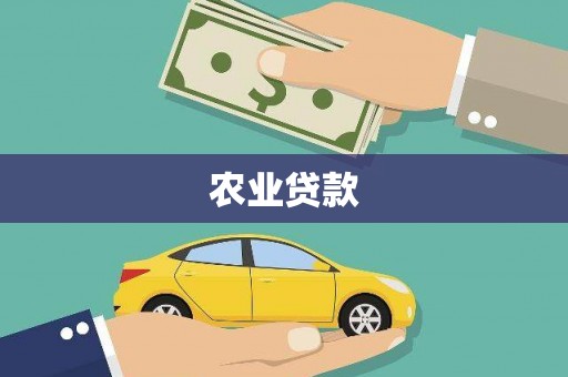 代县农业贷款