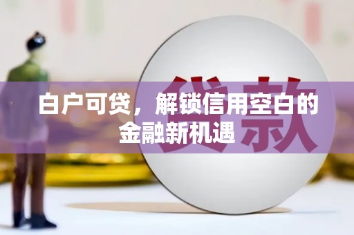 代县白户可贷，解锁信用空白的金融新机遇
