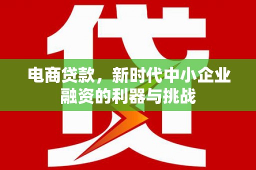 代县电商贷款，新时代中小企业融资的利器与挑战
