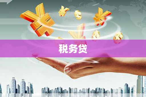 代县税务贷