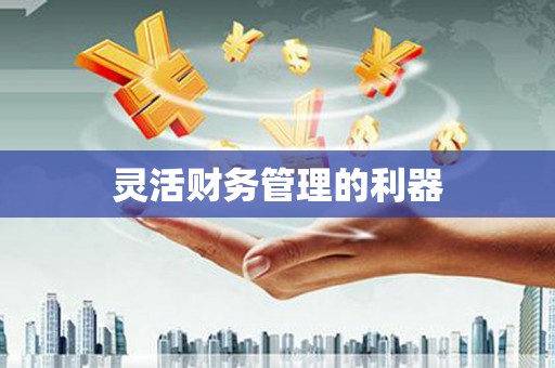 代县灵活财务管理的利器