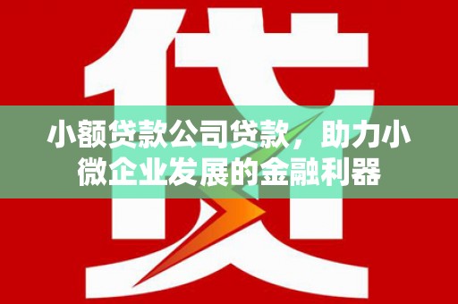 代县小额贷款公司贷款，助力小微企业发展的金融利器