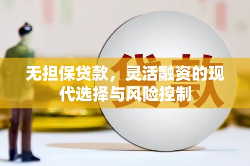 代县无担保贷款，灵活融资的现代选择与风险控制