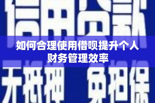 代县如何合理使用借呗提升个人财务管理效率