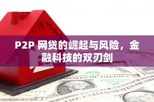 代县P2P 网贷的崛起与风险，金融科技的双刃剑