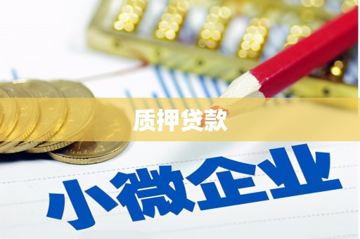 代县质押贷款
