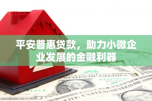 代县平安普惠贷款，助力小微企业发展的金融利器