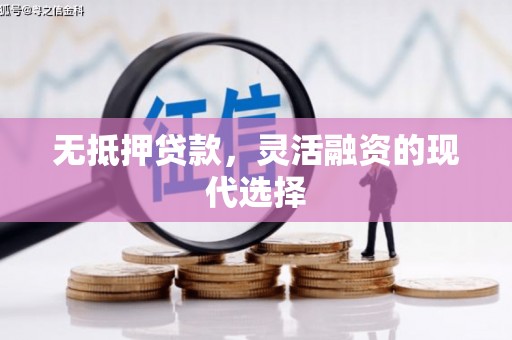 代县无抵押贷款，灵活融资的现代选择