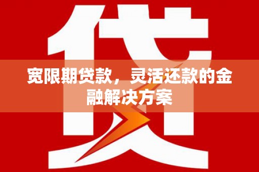 代县宽限期贷款，灵活还款的金融解决方案