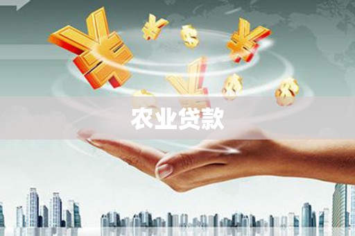 代县农业贷款
