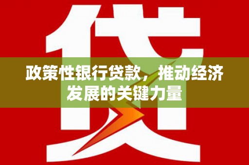 代县政策性银行贷款，推动经济发展的关键力量